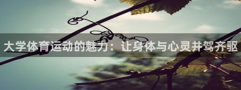 天天体育一赛季一生情播出时间：大学体育运动的魅力：让身体与心灵并驾齐驱