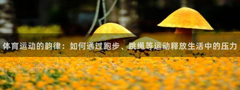 天天体育直播在线直播努力