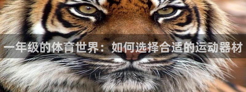 天天体育官微