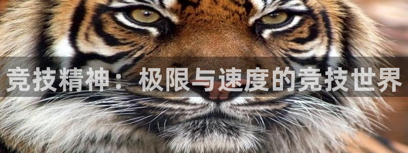 天天体育里爵士舞视频