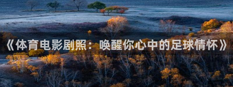 天天体育一赛季一生情哪天播出