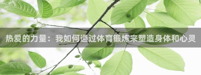 天天体育nba直播免费观看：热爱的力量：我如何通过体育锻炼来塑造身体和心灵