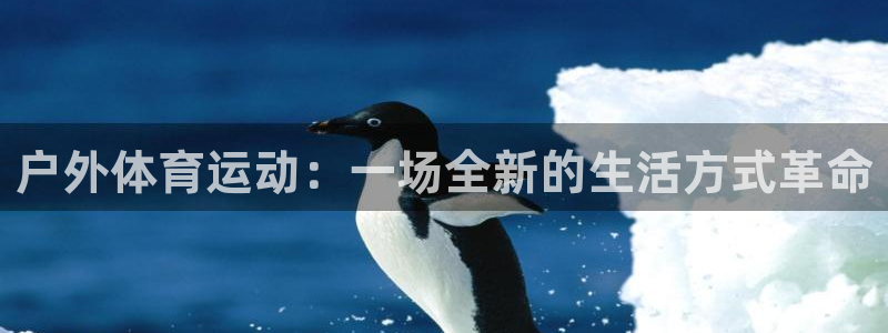 天天体育游戏