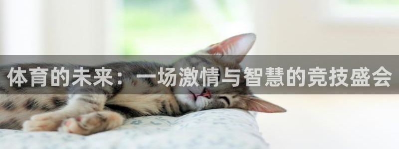 天天体育节目表